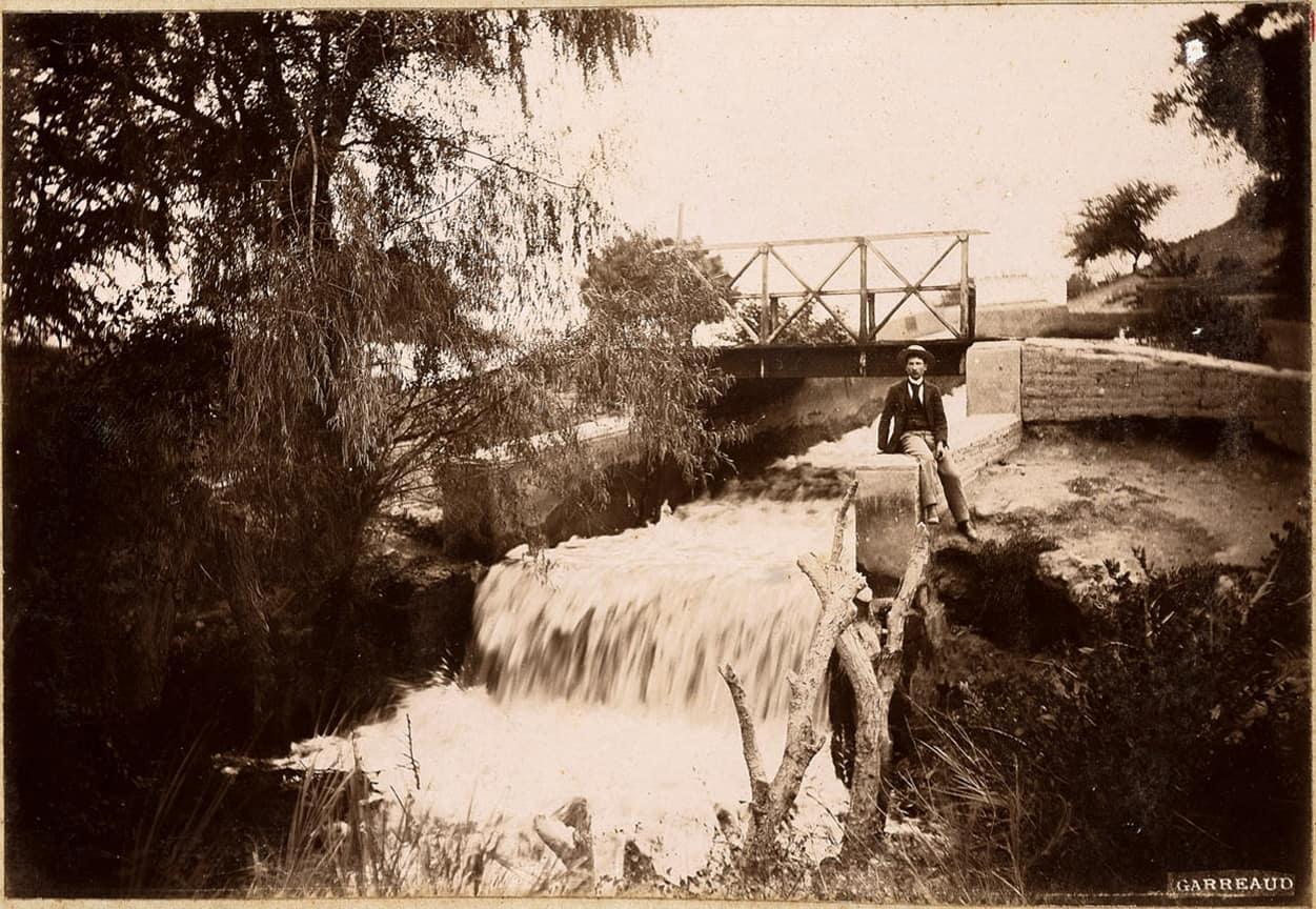 A hacienda acequia at Chicamita, on the Peruvian coast. Fernando Garreaud photographed the canal in the late nineteenth century. Irrigation was already there when the olive arrived.